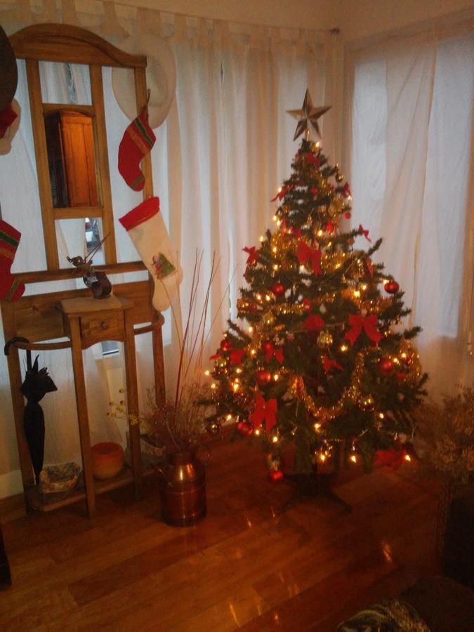 La Casa De Silvia Panzió Puerto Madryn Kültér fotó
